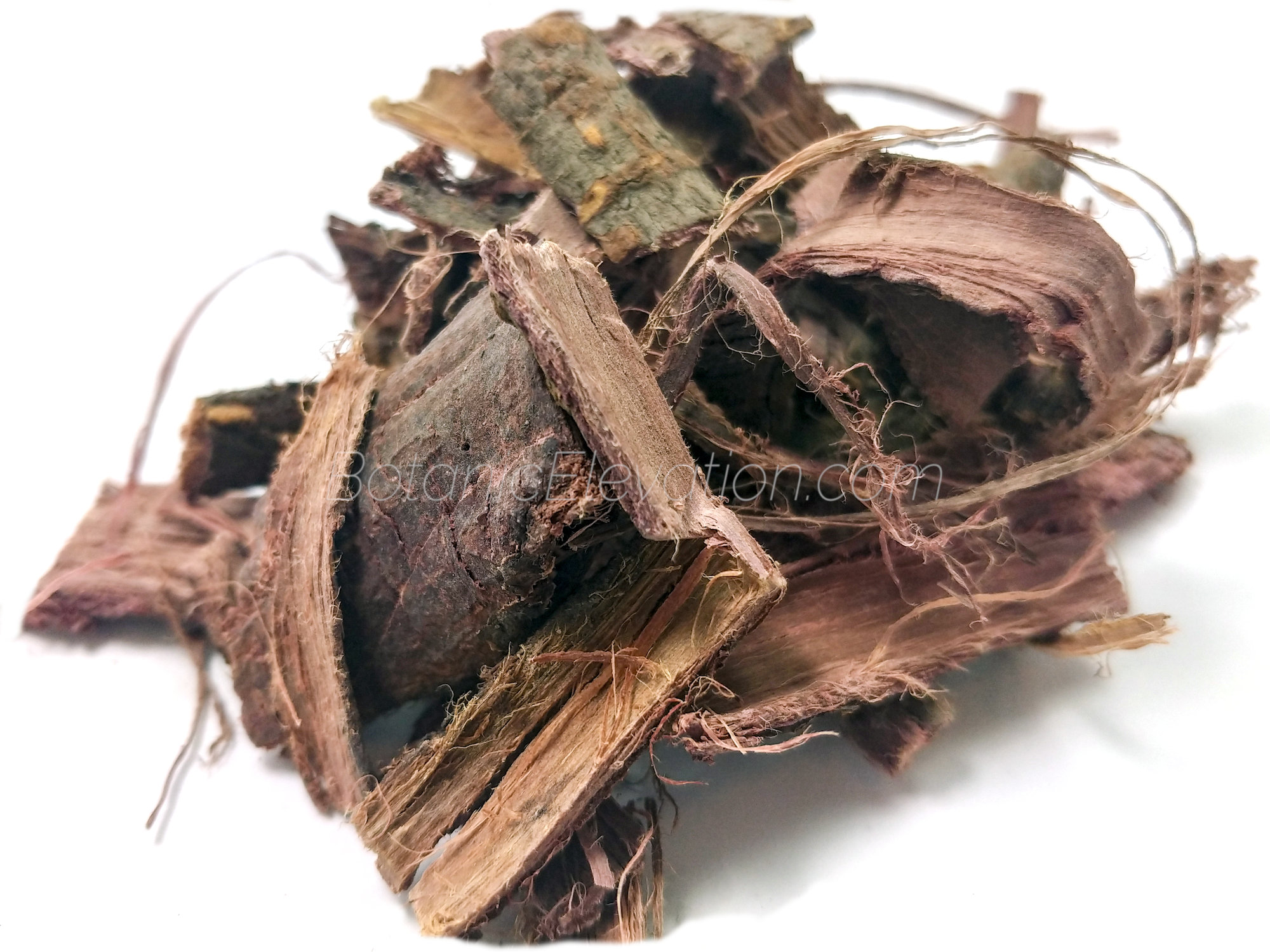 Plant-Based Cutch Dye for Rich, Earthy Colors